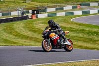 cadwell-no-limits-trackday;cadwell-park;cadwell-park-photographs;cadwell-trackday-photographs;enduro-digital-images;event-digital-images;eventdigitalimages;no-limits-trackdays;peter-wileman-photography;racing-digital-images;trackday-digital-images;trackday-photos